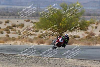 media/Apr-10-2022-SoCal Trackdays (Sun) [[f104b12566]]/Turn 5 Tree of Life (1040am)/